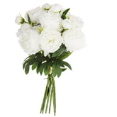 Buchet mare 13 bujori alb H50 cm - Atmosphera