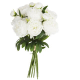 Buchet mare 13 bujori alb H50 cm - Atmosphera