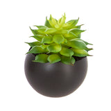 Floare decorativa, planta artificiala magnetica D6 cm - Atmosphera