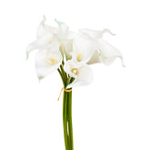 Buchet cala set 8 H36 cm - Atmosphera