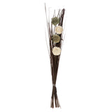 Floare decorativa, flori uscate - Atmosphera
