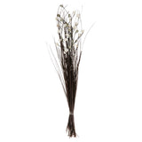 Floare decorativa, flori uscate - Atmosphera