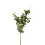 Floare decorativa, ramura eucalipt H91 cm - Atmosphera