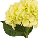 Floare decorativa, tija hortensie verde H83 cm - Atmosphera