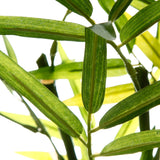 Floare decorativa, bambus in ghiveci H35 cm - Atmosphera
