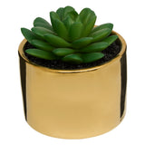 Ghiveci planta verde h.13 - Atmosphera