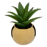Ghiveci planta verde h.13 - Atmosphera
