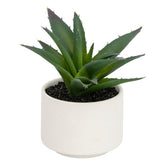 Floare decorativa, suculenta cu ghiveci H13 cm - Atmosphera