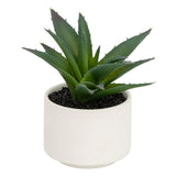 Floare decorativa, suculenta cu ghiveci H13 cm - Atmosphera