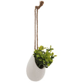 Floare decorativa, planta mica pot crmq H10 cm - Atmosphera
