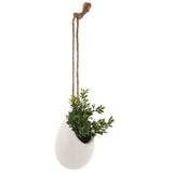 Floare decorativa, planta mica pot crmq H10 cm - Atmosphera