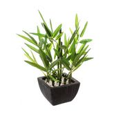 Floare decorativa, bambus in ghiveci H26 cm - Atmosphera