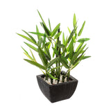 Floare decorativa, bambus in ghiveci H26 cm - Atmosphera