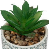 Floare decorativa, planta cu ghiveci ceramica imprimat D5,5 cm - Atmosphera