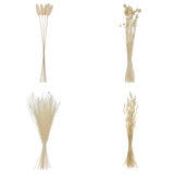 Buchet flori uscate - Atmosphera