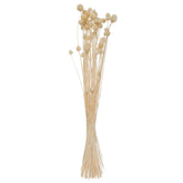 Buchet flori uscate - Atmosphera