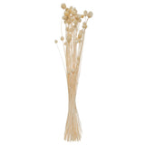 Buchet flori uscate - Atmosphera