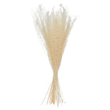 Buchet flori uscate - Atmosphera