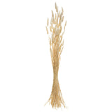 Buchet flori uscate - Atmosphera