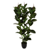 Floare decorativa, ficus robusta H120 cm - Atmosphera