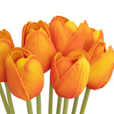Buchet 10 lalele portocalii james H48 cm - Atmosphera