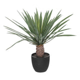 Floare decorativa, copac palmier cu ghiveci rivi H52 cm - Atmosphera