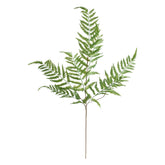 Floare decorativa, tulpina feriga verde james H90 cm - Atmosphera