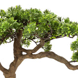 Floare decorativa, bonsai cu ghiveci ceramica polin H45 cm - Atmosphera