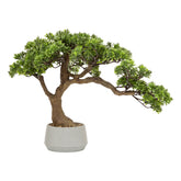 Floare decorativa, bonsai cu ghiveci ceramica polin H45 cm - Atmosphera