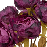 Buchet 5 bujori fria H53 cm - Atmosphera