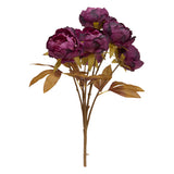 Buchet 5 bujori fria H53 cm - Atmosphera