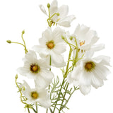 Floare decorativa, coreopsis stem phoebe H88 cm - Atmosphera