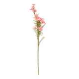 Floare decorativa, cosmos stem phoebe H62 cm - Atmosphera