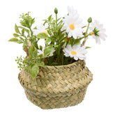 Floare decorativa, daisy basket compo tifi H20 cm - Atmosphera