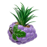 Floare decorativa, plant fruity H11h10h9dis - Atmosphera