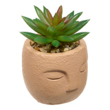 Floare decorativa, succulent face teri H13 cm - Atmosphera