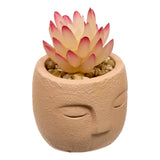 Floare decorativa, succulent face teri H13 cm - Atmosphera