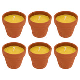 Lumanare parfumata "Terry" - Parfum fructat, Lamaita, 40 g - Atmosphera