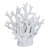 Deco coral rasina ocea H17 cm - Atmosphera