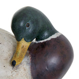 Duck rasina vitto L28.5 outdr - Atmosphera