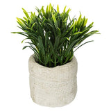 Planta artificiala mica in ghiveci din beton, modele asortate, H 14 cm