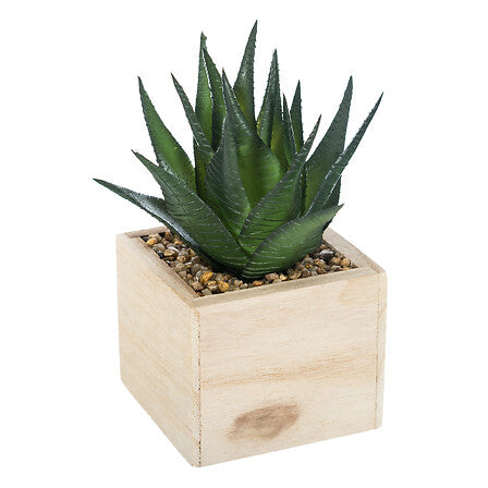 Planta artificiala mica in ghiveci din lemn, modele asortate, H 14 cm