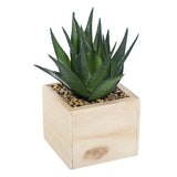 Planta artificiala mica in ghiveci din lemn, modele asortate, H 14 cm