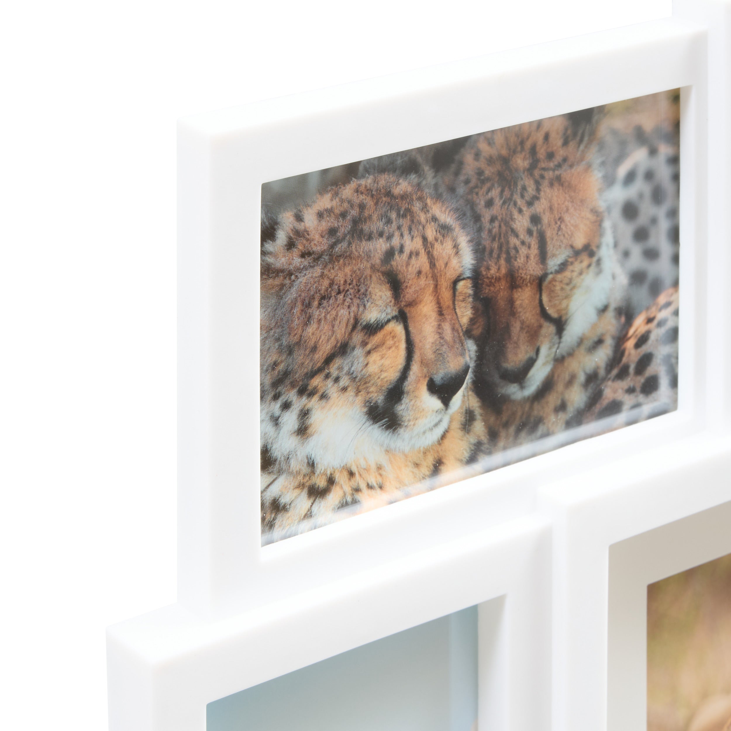 Decoratiune de perete, rama foto plastic alb 9 poze cali - Atmosphera