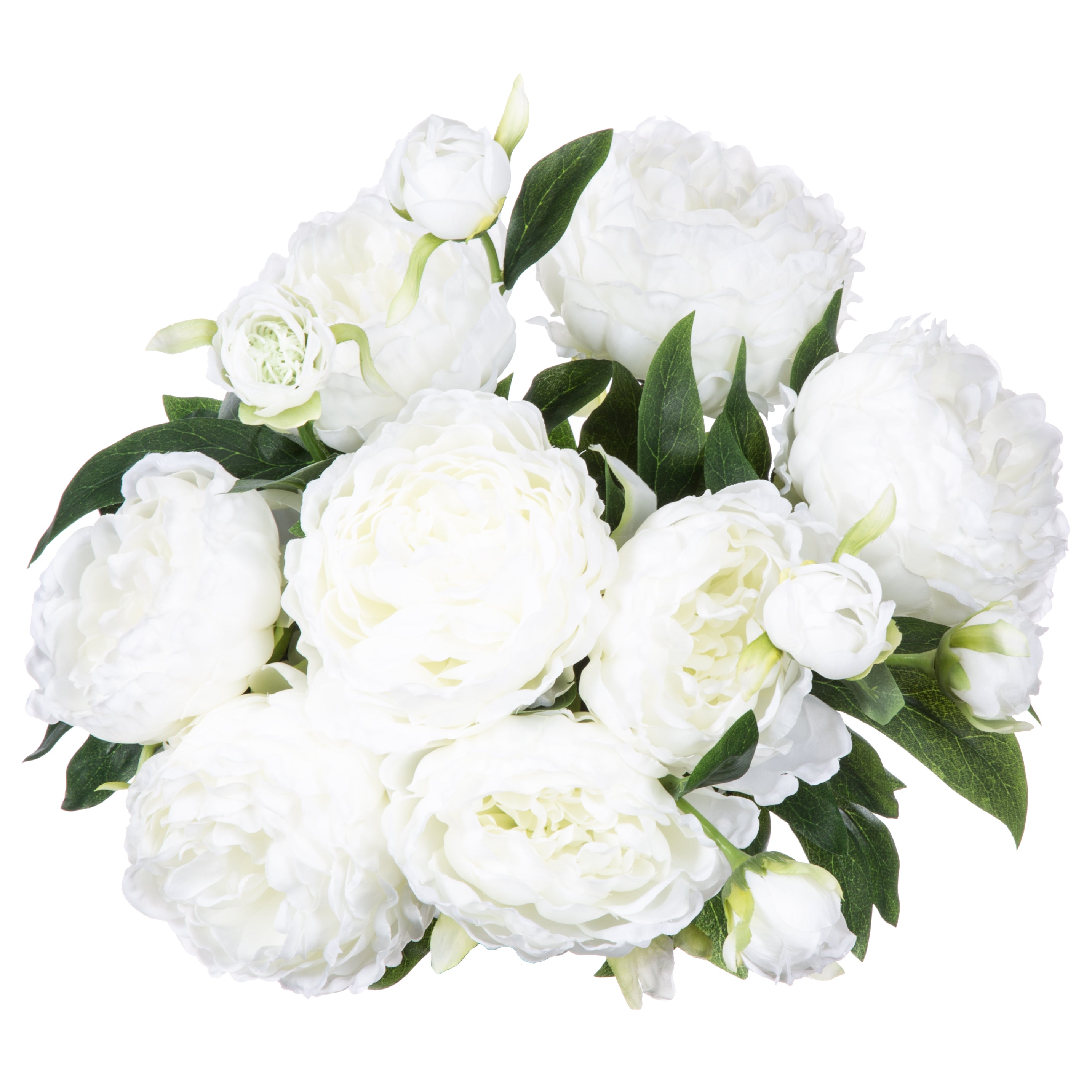 Buchet mare 13 bujori alb H50 cm - Atmosphera
