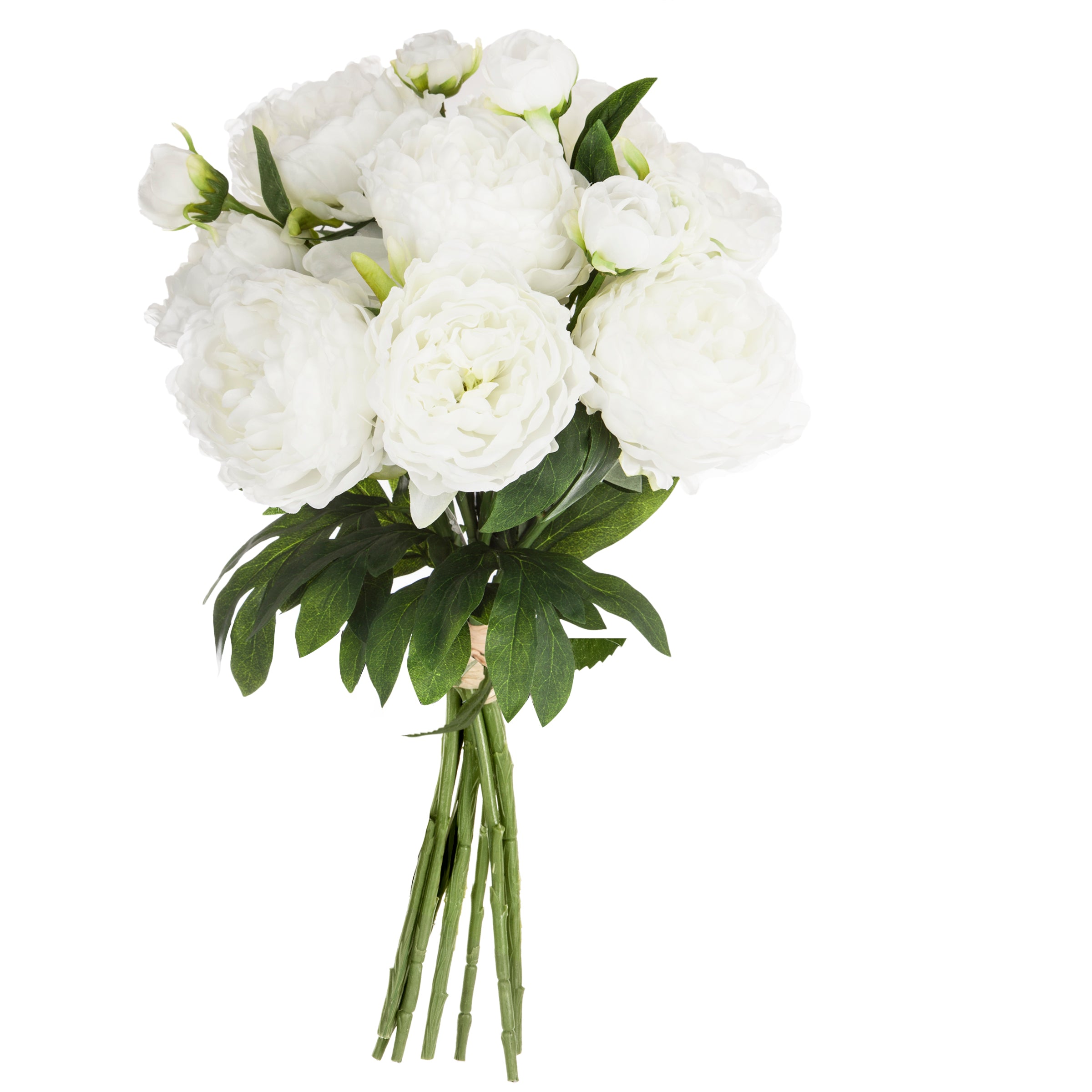 Buchet mare 13 bujori alb H50 cm - Atmosphera