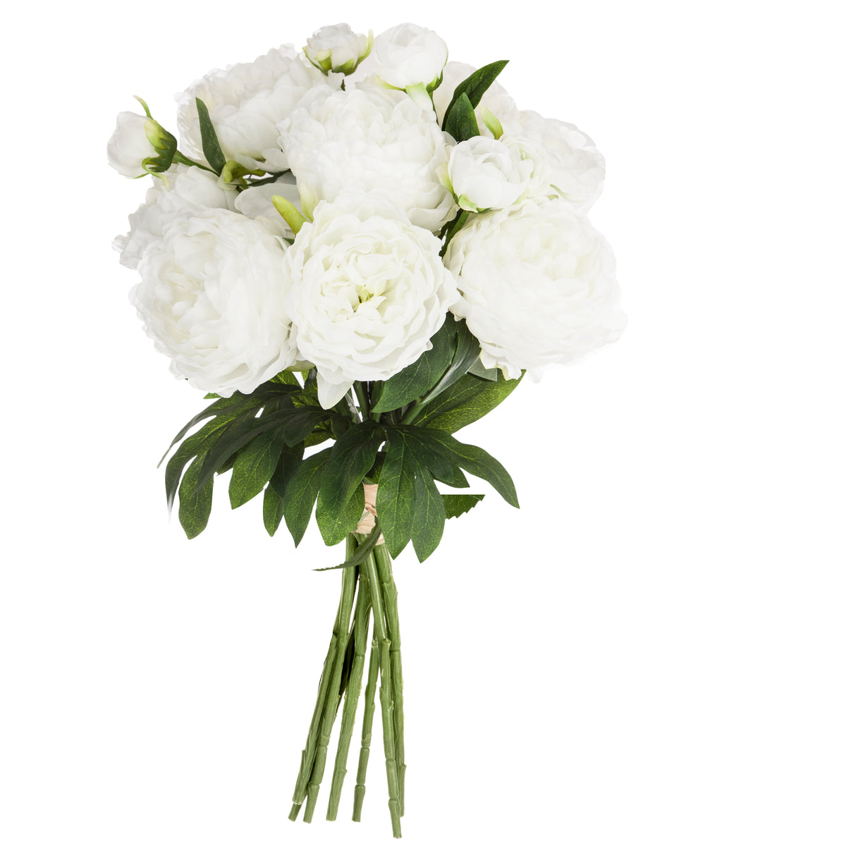 Buchet mare 13 bujori alb H50 cm - Atmosphera