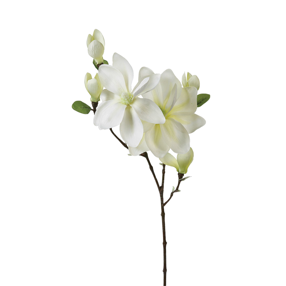 Floare decorativa, ramura magnolie H83 cm - Atmosphera