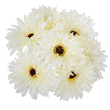 Buchet 7 gerbera H26 cm - Atmosphera