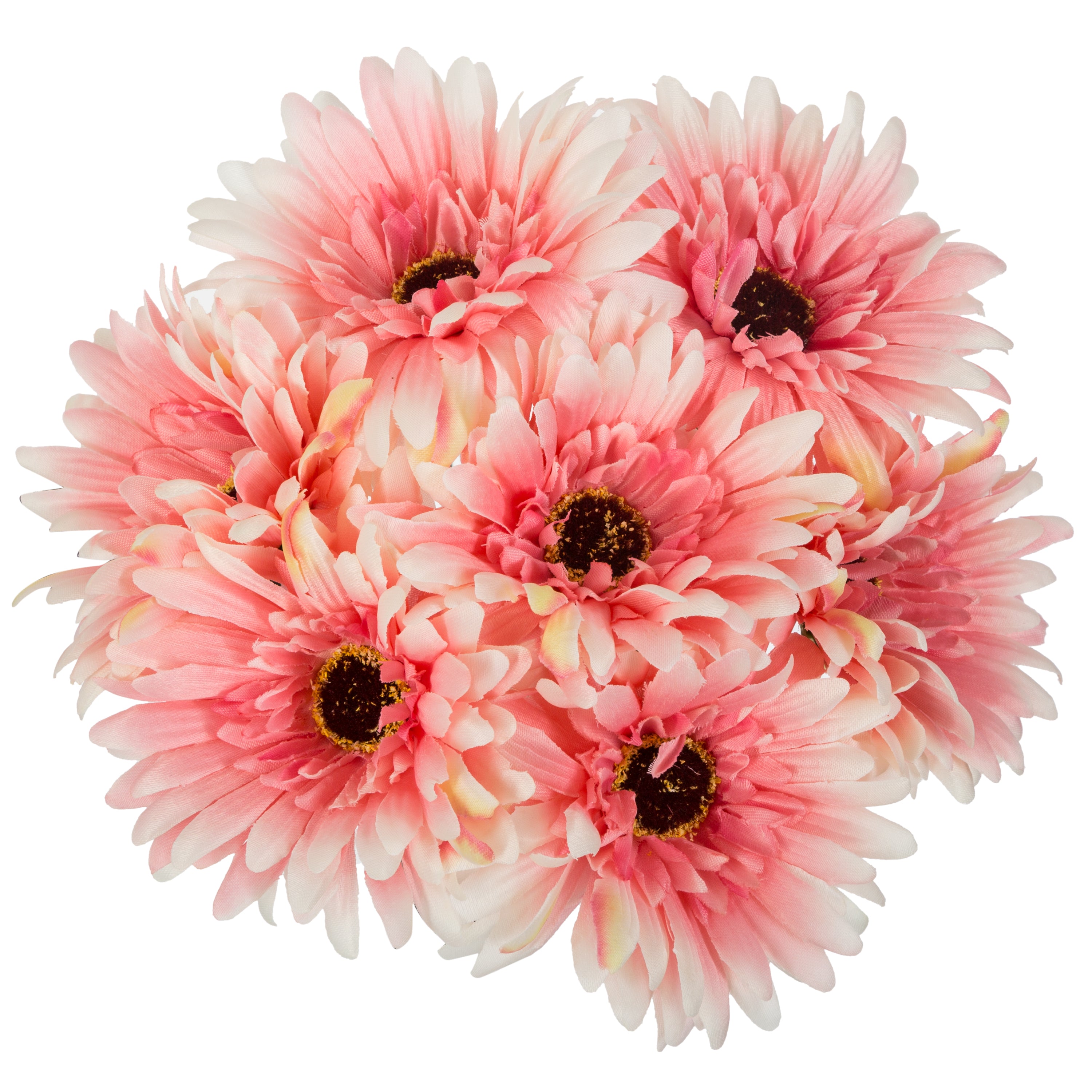 Buchet 7 gerbera H26 cm - Atmosphera